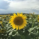 Residenza D'epoca La Rosa Appartamento Pienza