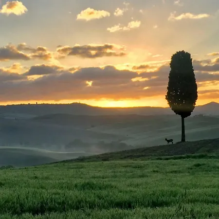 Residenza D'epoca La Rosa Lägenhet Pienza